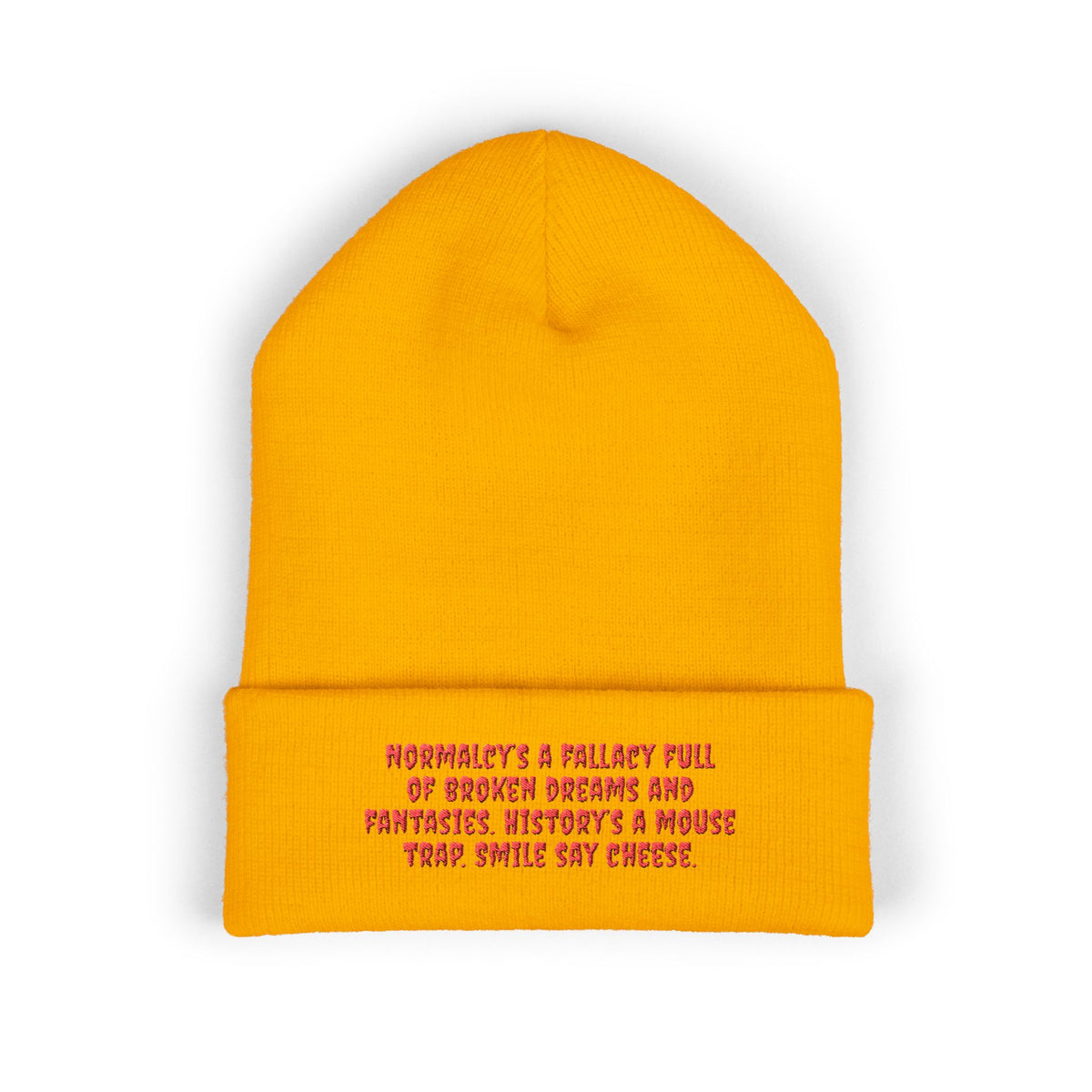 Y. Red Normalcy's a Fallacy Beanie (Embroidery)