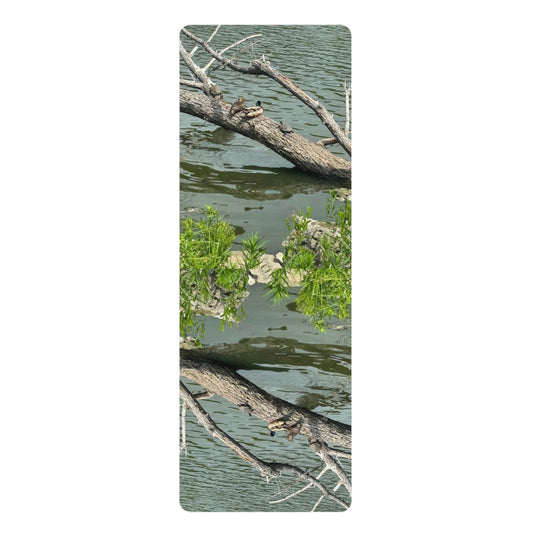 B. Turtles and Ducks Chlling Yoga Mat