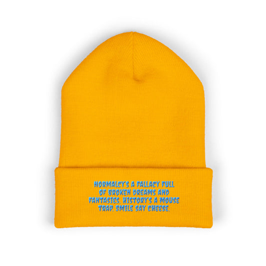 Y. Blue Normalcy's a Fallacy Beanie