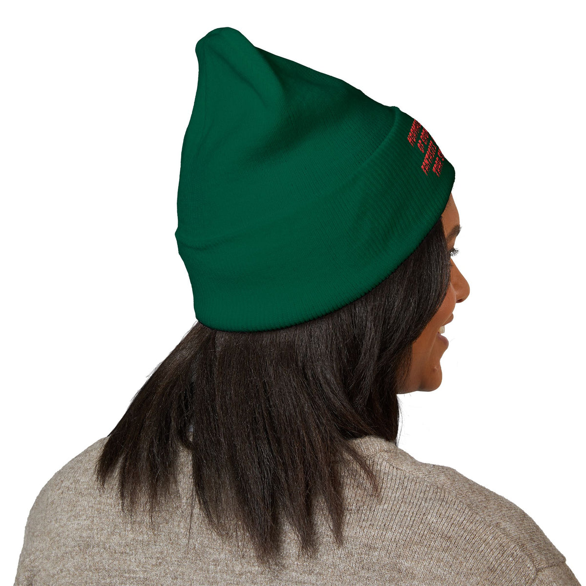 Y. Red Normalcy's a Fallacy Beanie (Embroidery)