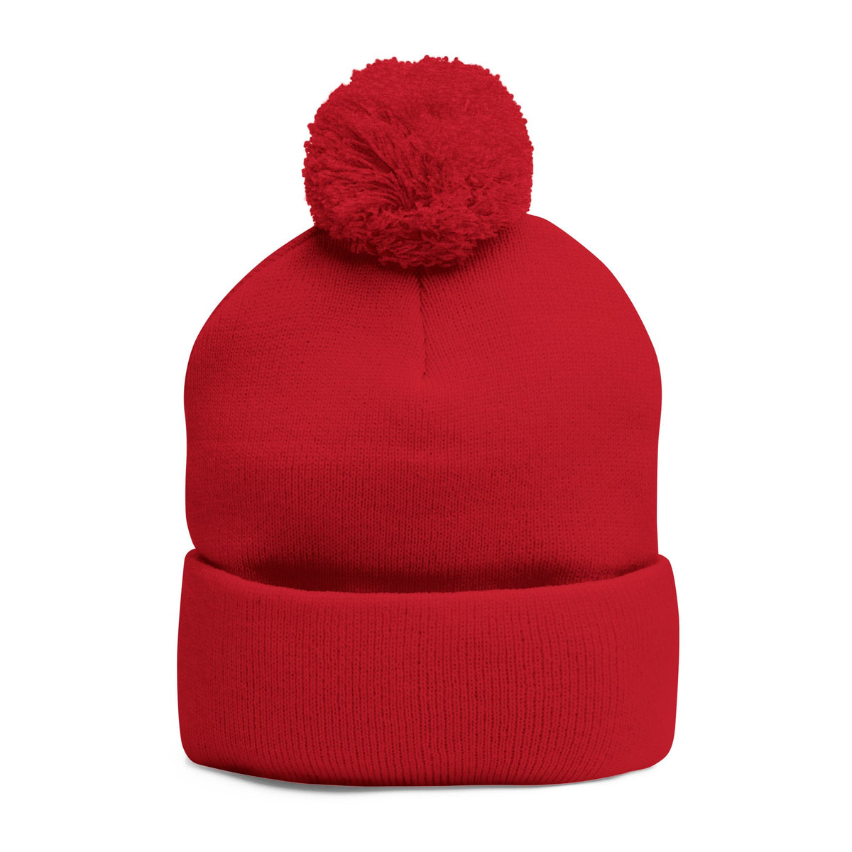 Z. Black Normalcy's a Fallacy Pom-Pom Knit Cap